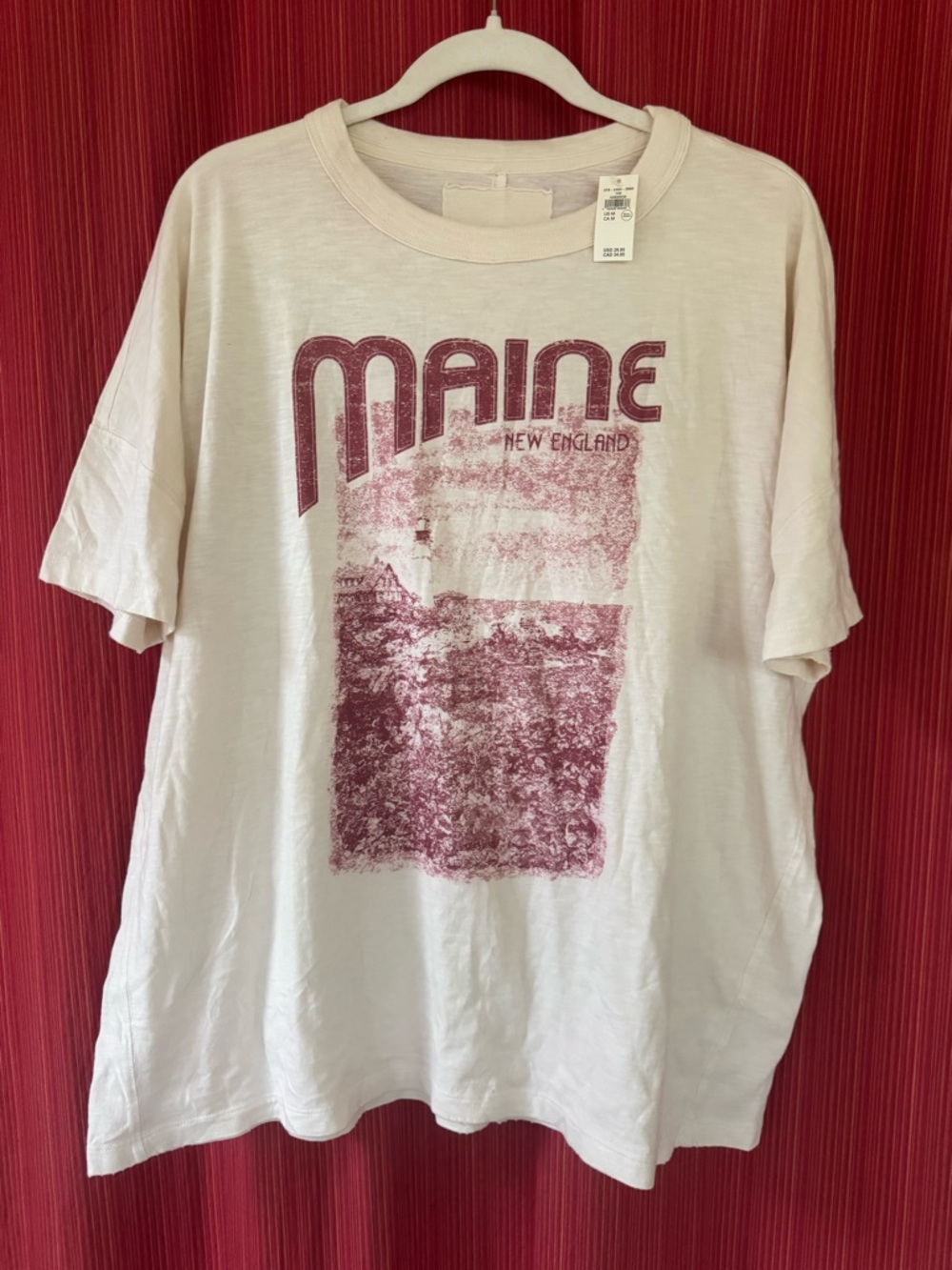 NWT Aerie Maine Oversized Boyfriend T-Shirt - Cream with Dusty Rose Print Med - Picture 2 of 11